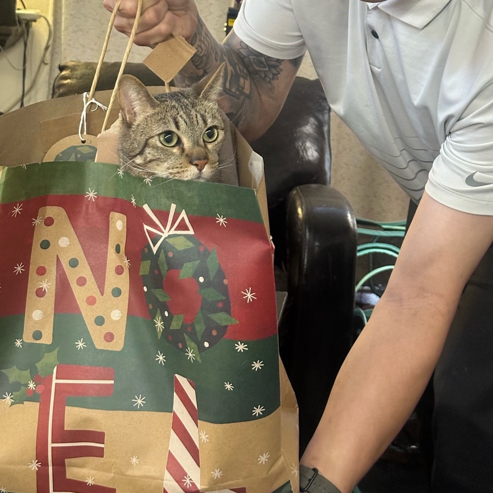 JAMI & BIGGIE ARE LIVE!! LIKE TO BE NOTIFIED! - Picture 12 of 16